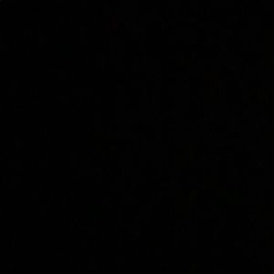 Meet your Posher, Kylie